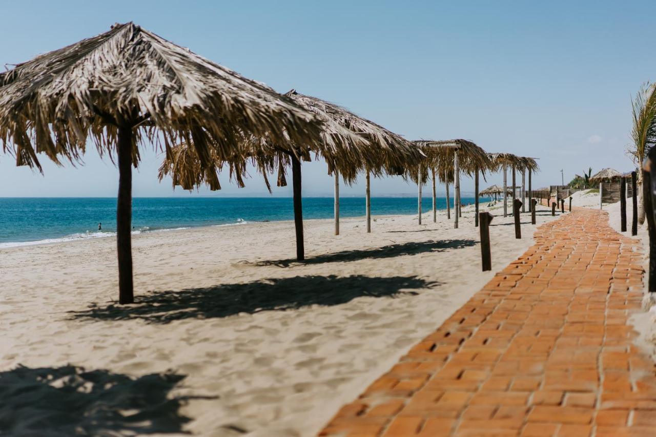 沃尔塔科海滩文化酒店（Hotel Waltako Beach Culture Canoas de Punta Sal）