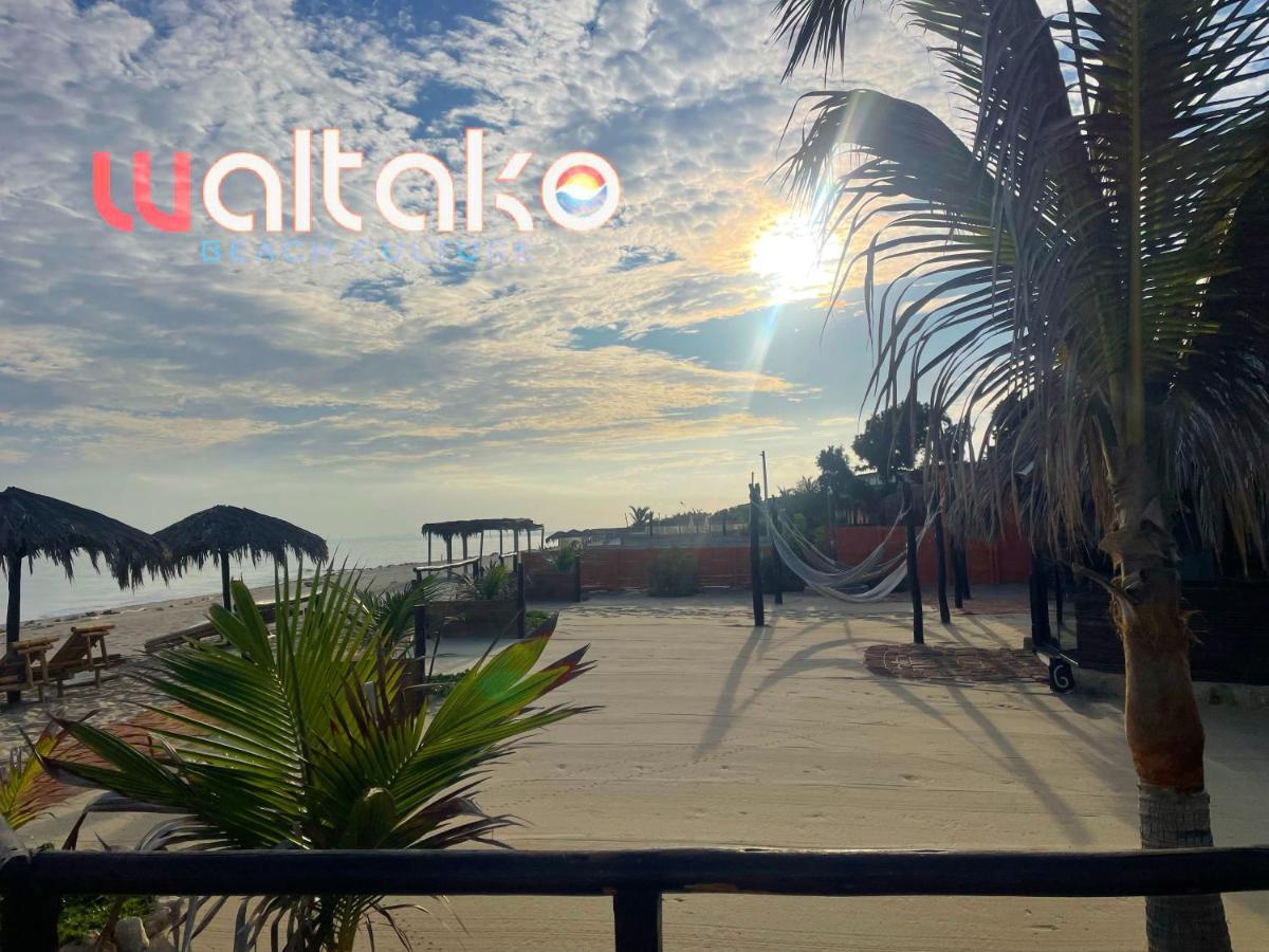 沃尔塔科海滩文化酒店（Hotel Waltako Beach Culture Canoas de Punta Sal）