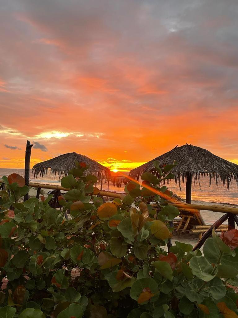 沃尔塔科海滩文化酒店（Hotel Waltako Beach Culture Canoas de Punta Sal）