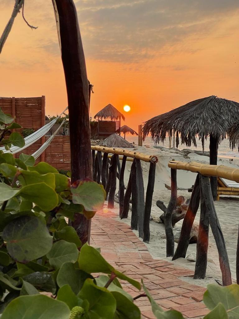 沃尔塔科海滩文化酒店（Hotel Waltako Beach Culture Canoas de Punta Sal）
