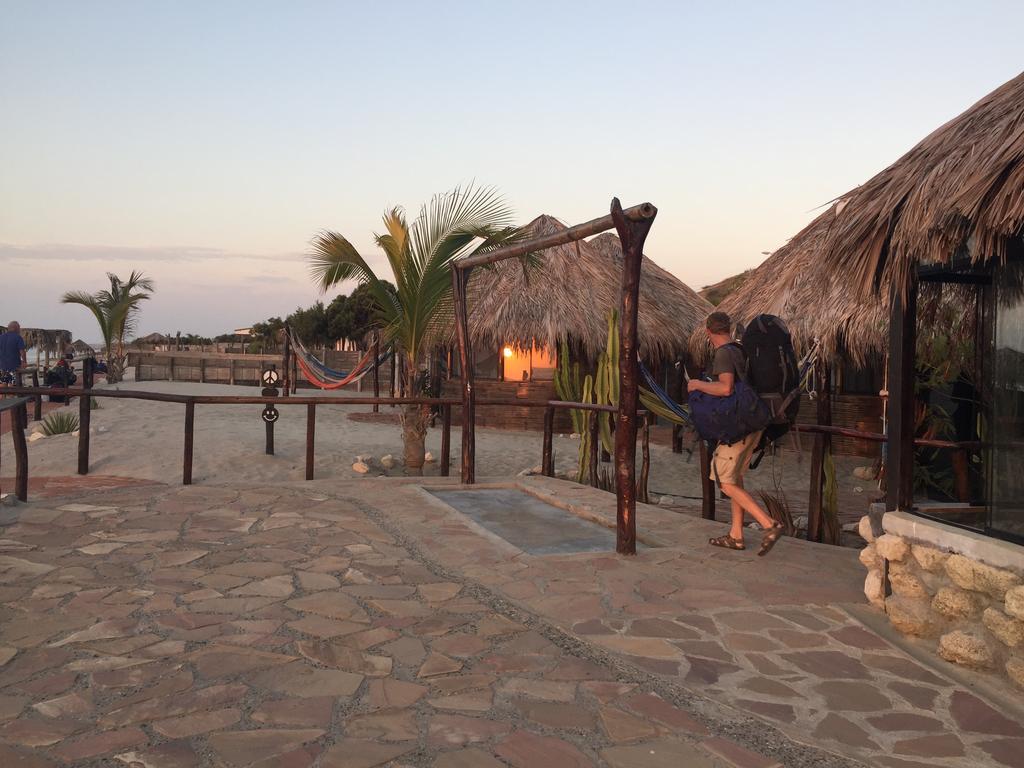 沃尔塔科海滩文化酒店（Hotel Waltako Beach Culture Canoas de Punta Sal）